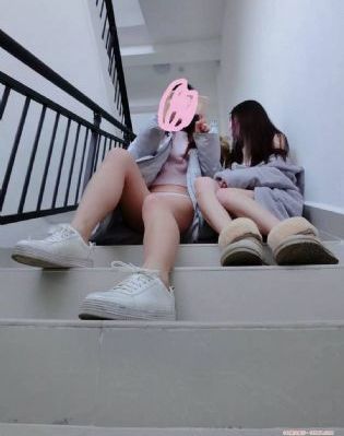 汪汪队全集_视频网址大全